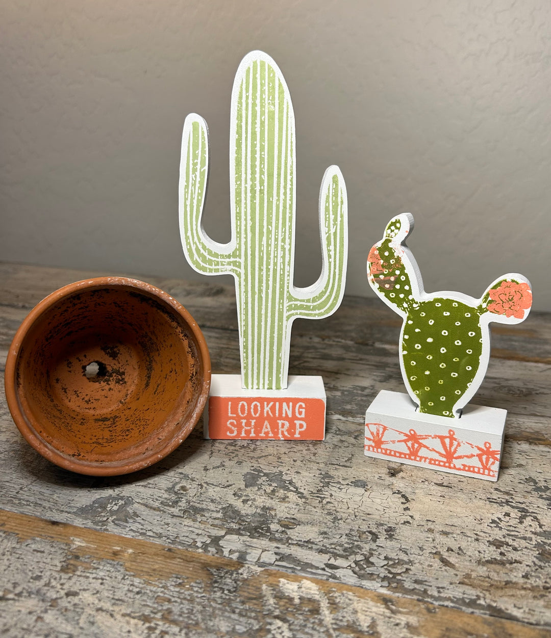 Pretty Fly for a Cacti Chalk Couture Cactus Kit