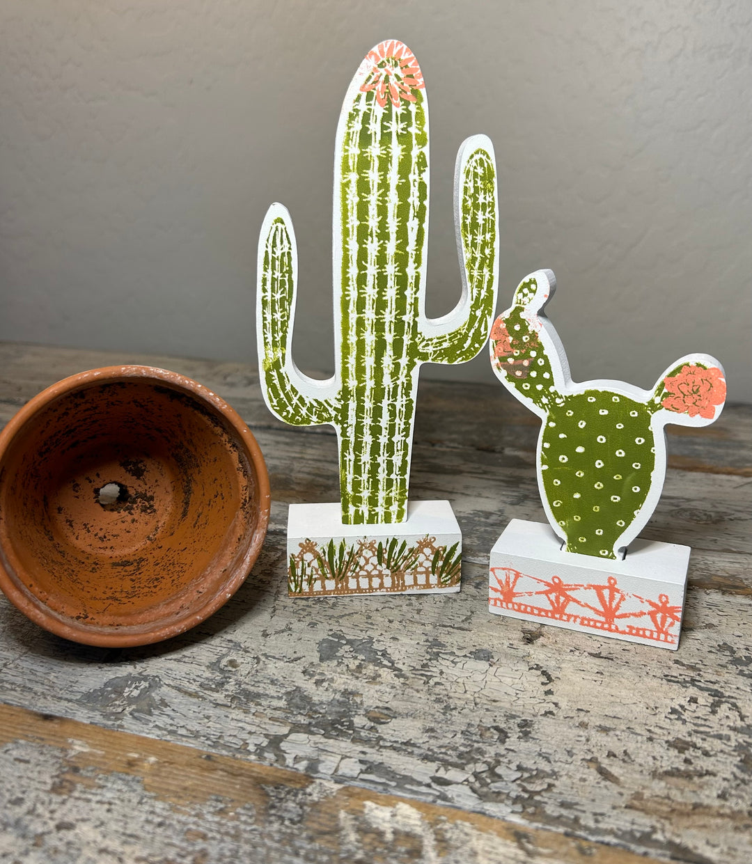 Pretty Fly for a Cacti Chalk Couture Cactus Kit