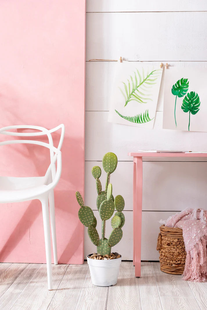 Palm Springs Pink I Milk Paint by Fusion