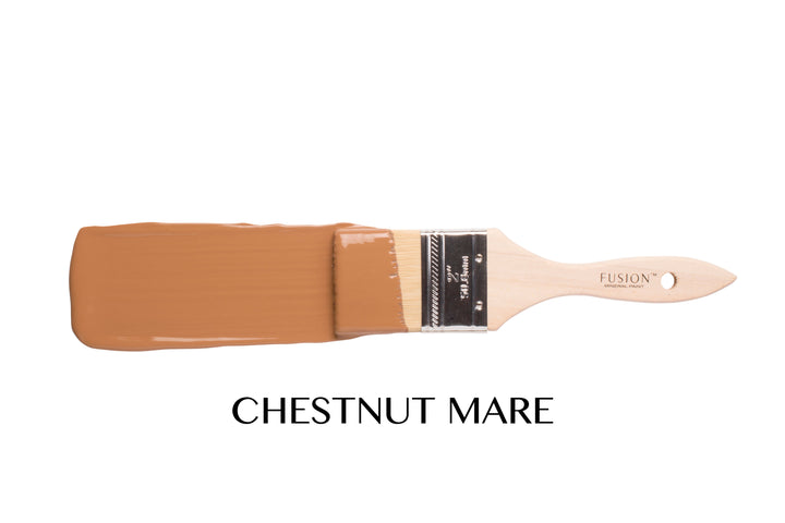 Chestnut Mare I Mineral Paint﻿