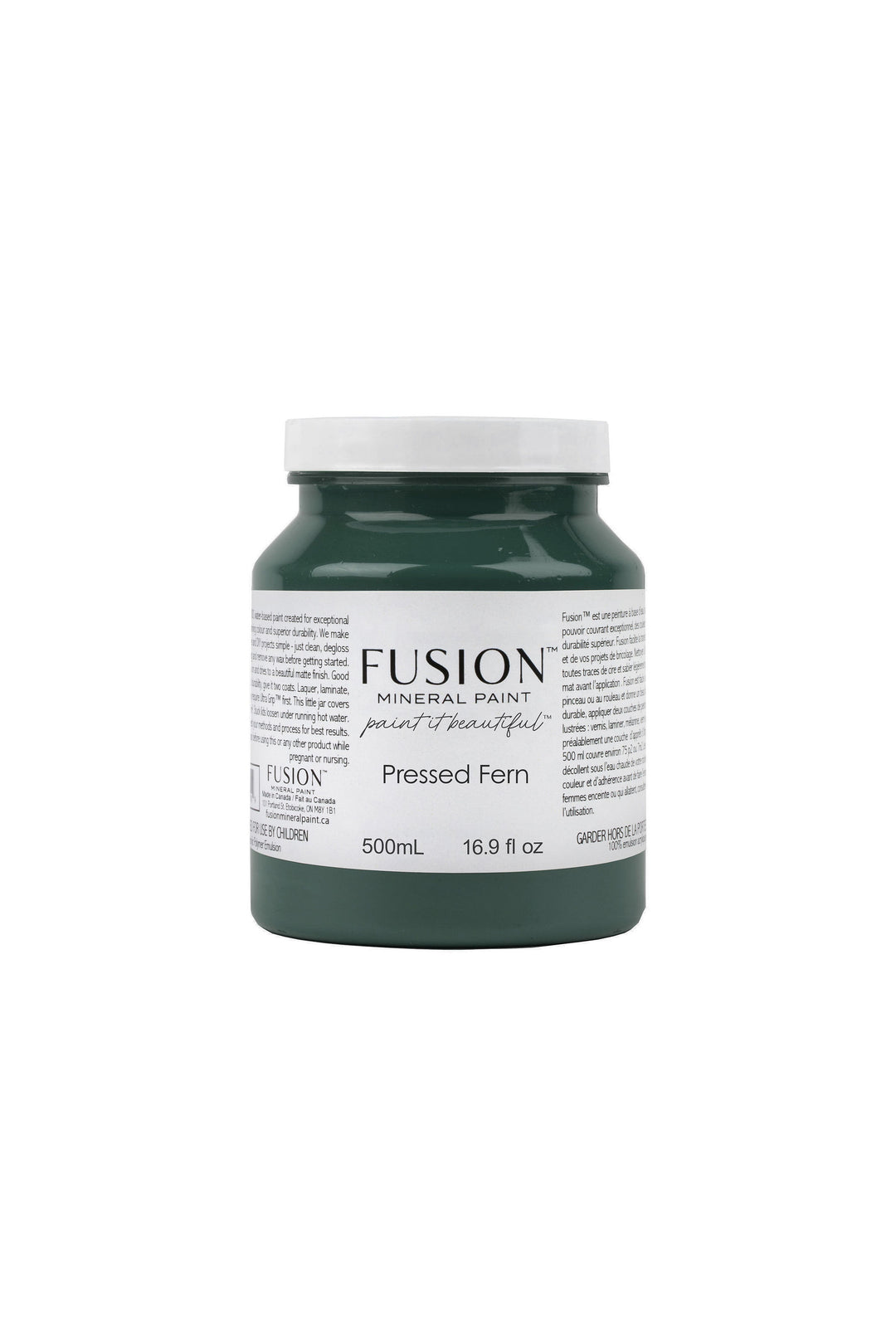 Pressed Fern I Fusion™ Mineral Paint﻿