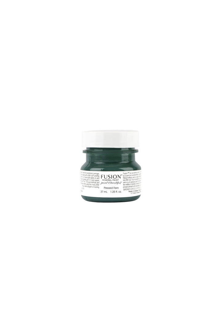 Pressed Fern I Fusion™ Mineral Paint﻿