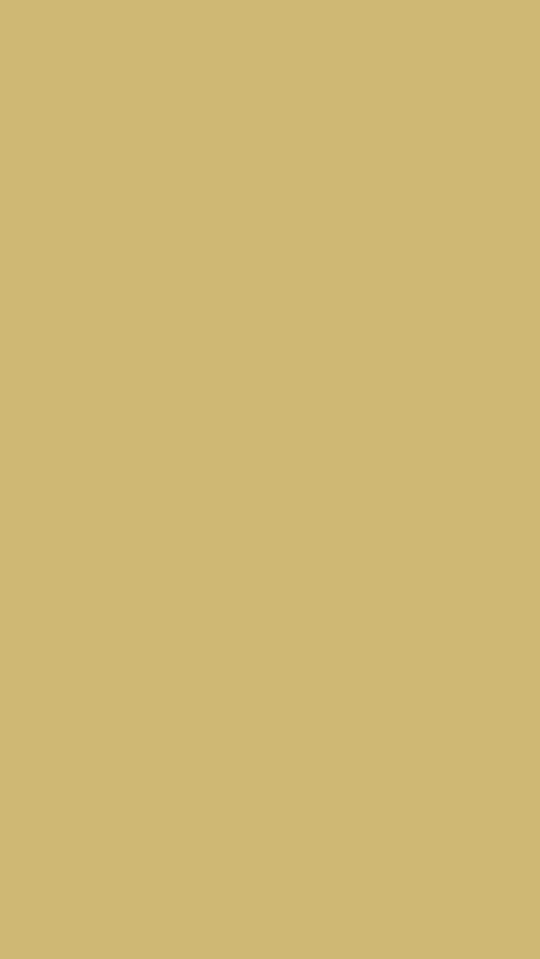 Prairie Sunset I Fusion™ Mineral Paint