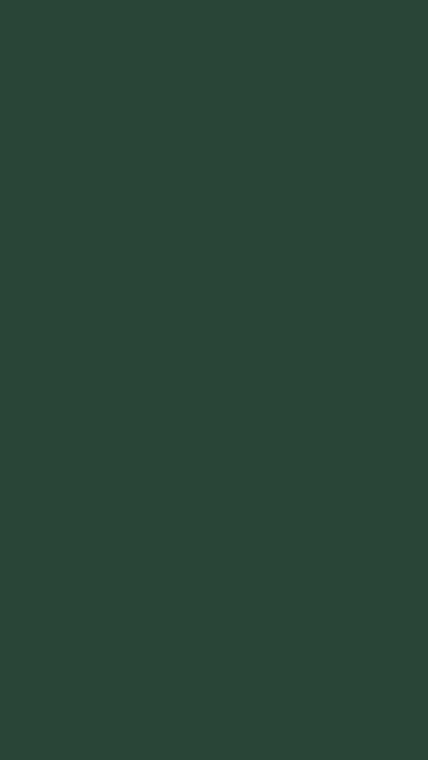 Pressed Fern I Fusion™ Mineral Paint﻿