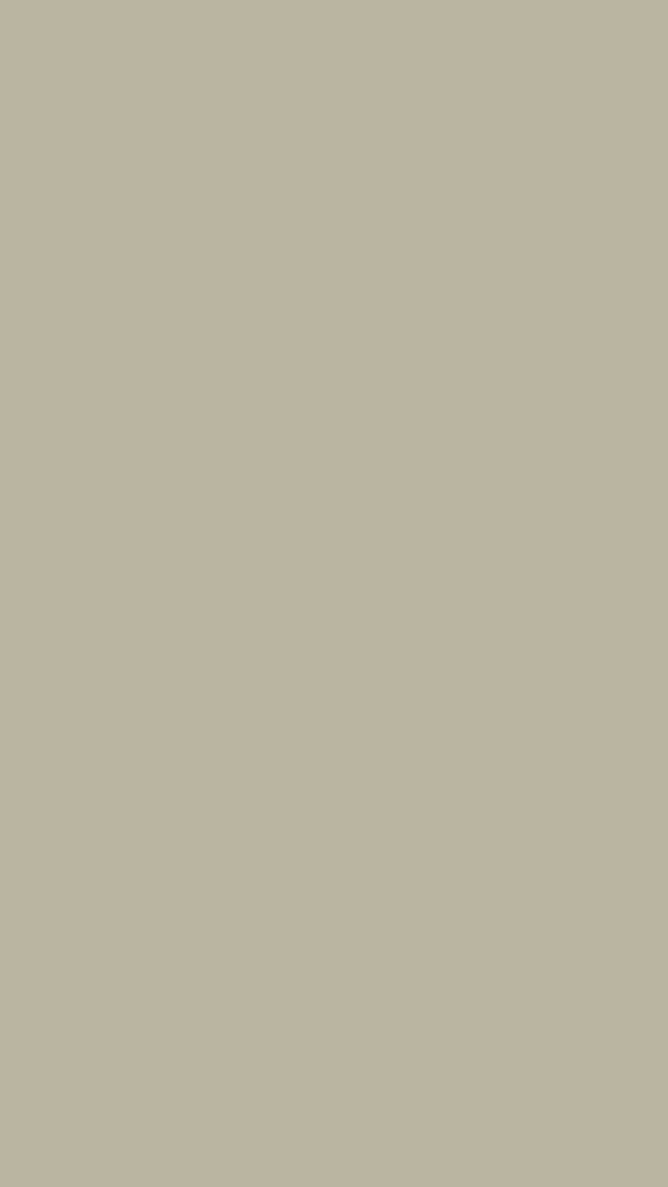 Bedford I Mineral Paint