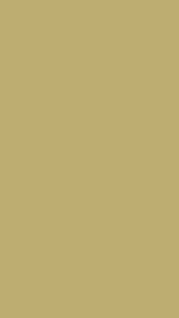 Buttermilk I Cream Mineral Paint